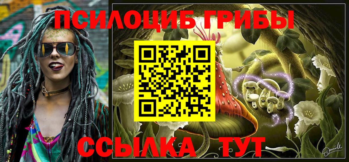 Галлюциногенные грибы Cubensis  Вход с VPN  Галлюциногенные грибы мухоморы  Нововоронеж 